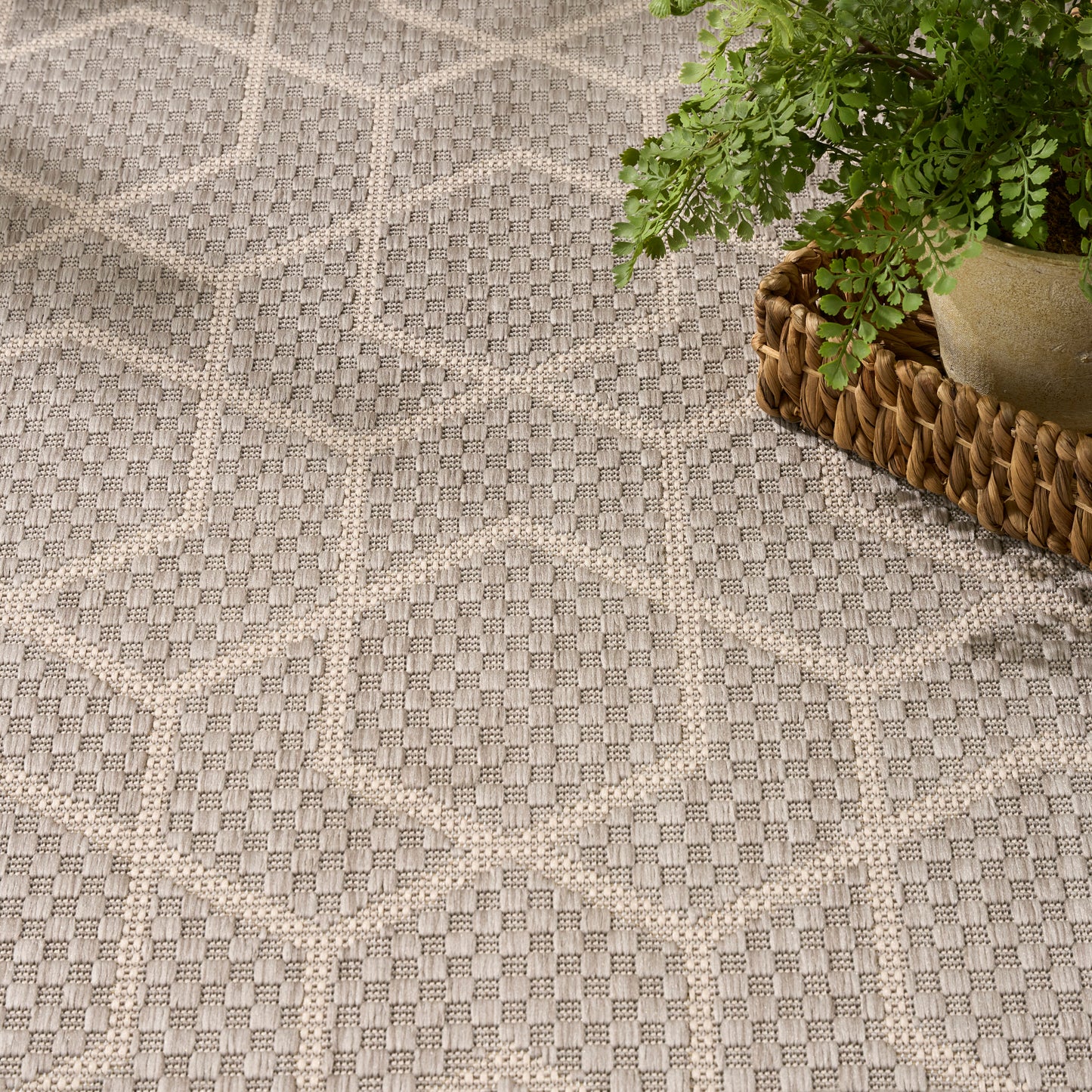 Neutral beige-gray geometric woven rug with diamond/hex pattern; potted leafy fern in a woven basket at top right.