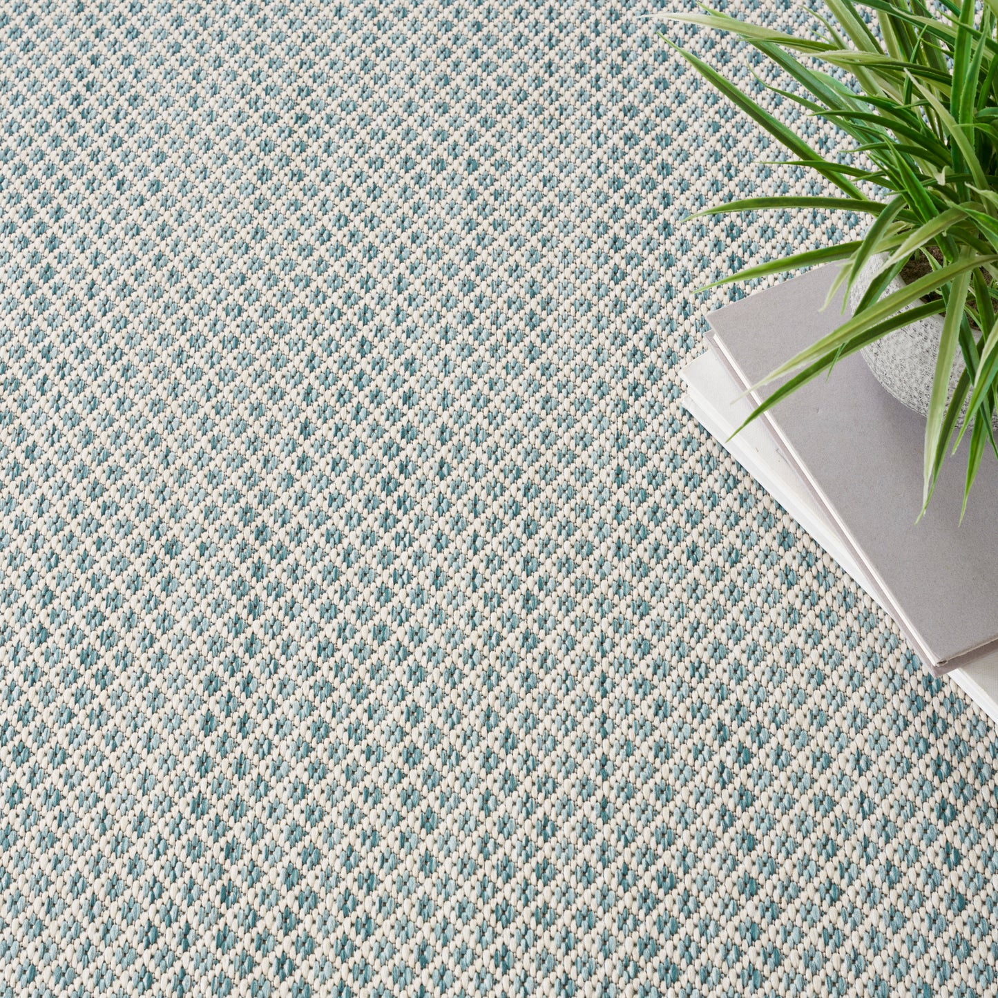 Blue and beige woven rug with small diamond pattern, corner stack of gray notebooks beside a green potted plant.