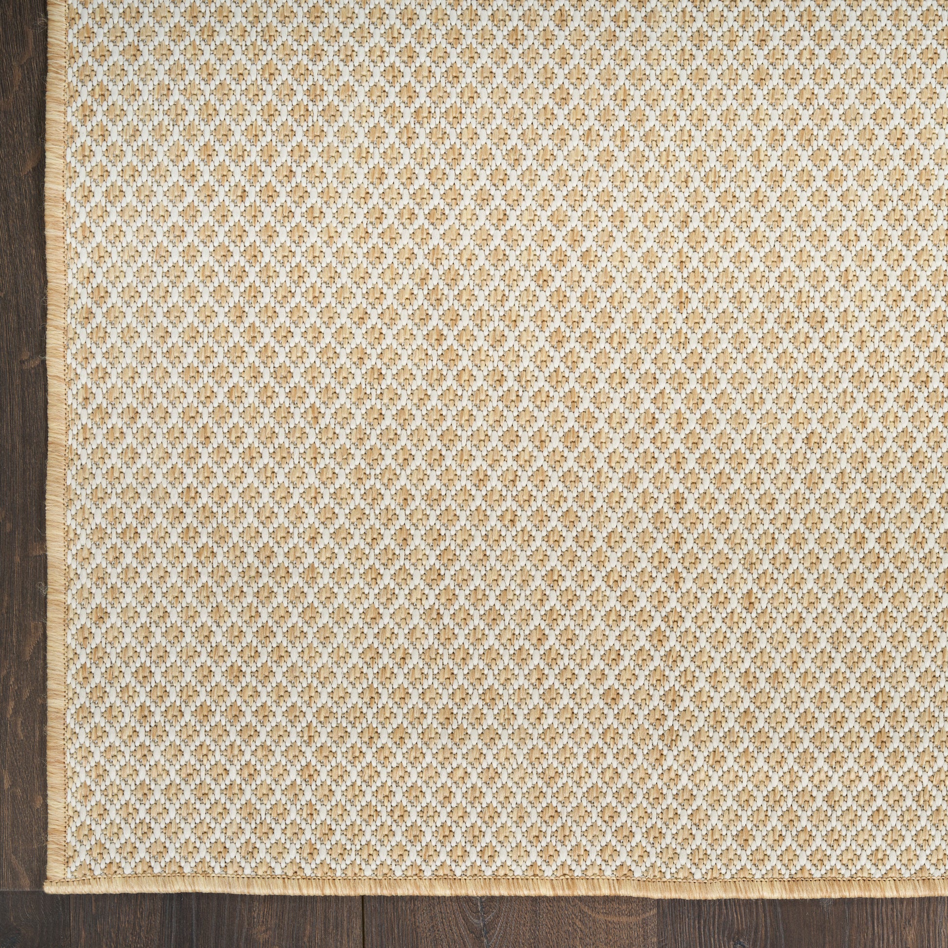 Beige rectangular rug with a cream woven border fringe along the bottom edge.