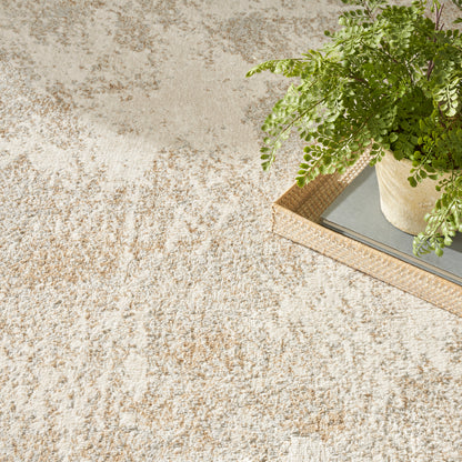 Beige textured rug with a small woven tray holding a potted fern plant.