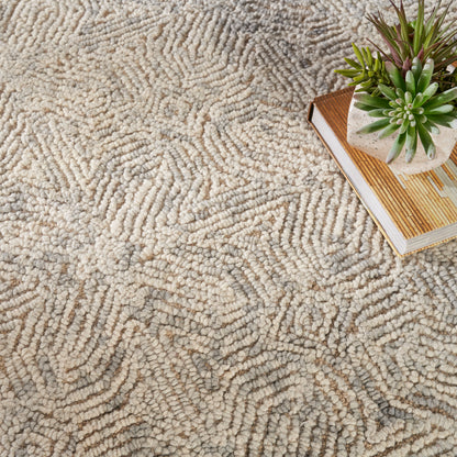 Beige shag rug with a soft, wavy textured pattern; succulent plant in a pot resting on stacked books.