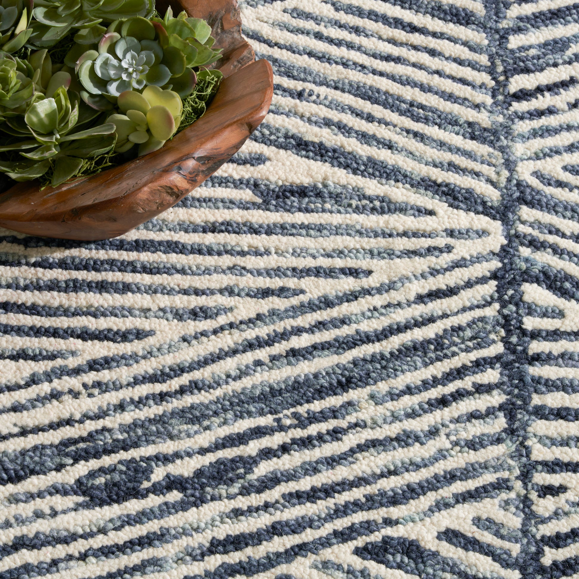 Close-up of blue and cream striped tufted rug with a wooden bowl of green succulents resting on the edge.
