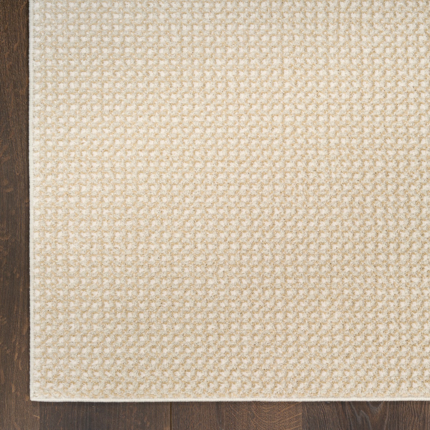 Beige textured woven area rug on dark wood floor.
