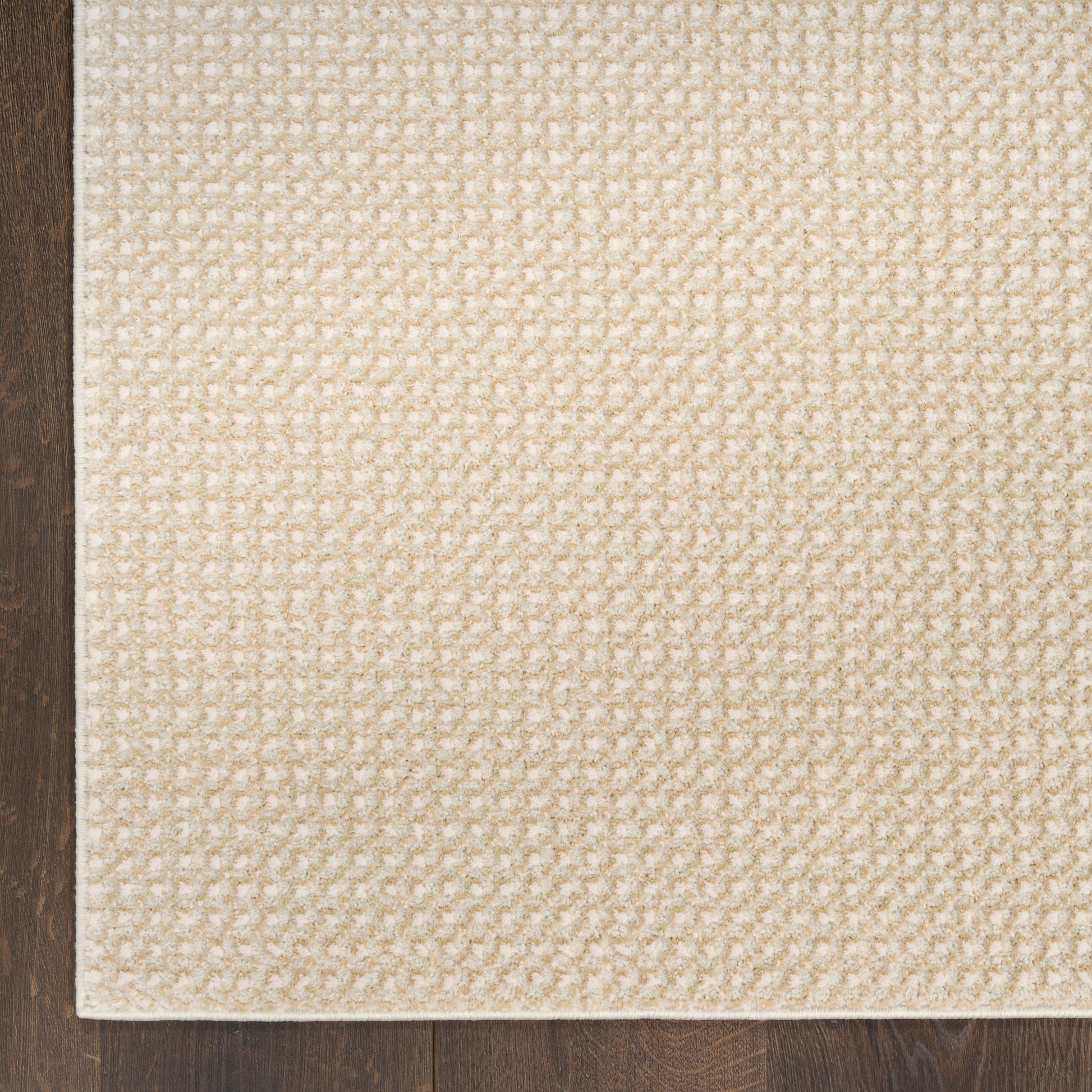 Beige textured woven area rug on dark wood floor.