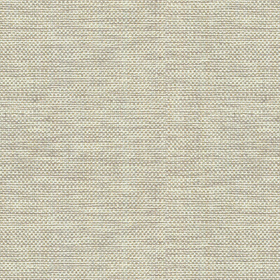 KRAVET BASICS  TEXTURE GREY,GREY,   - 30299.106.0