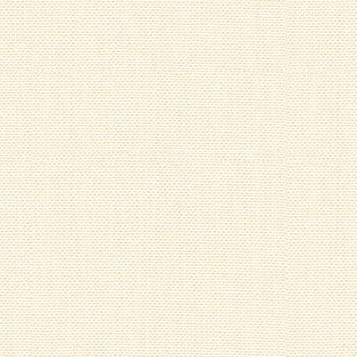 KRAVET BASICS  TEXTURE WHITE,WHITE,   - 30299.1.0