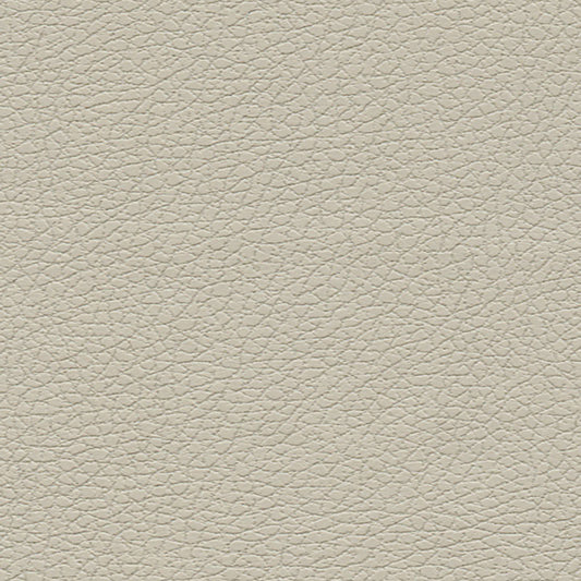 SCHUMACHER  ULTRALEATHER BRISA WOVEN WOVEN BONE   - 303-3822