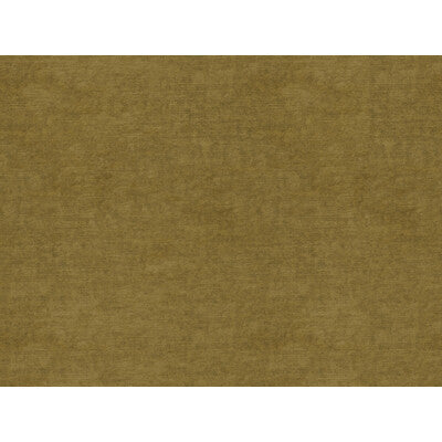 KRAVET COUTURE VELVET TEXTURE GREEN,GREEN,   - 30356.30.0