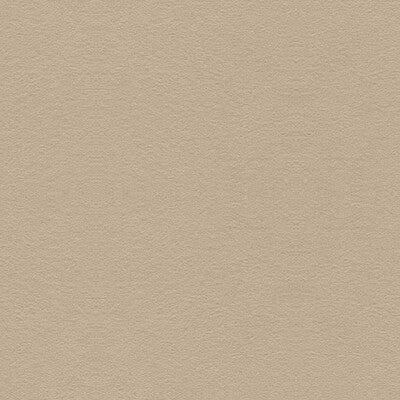 KRAVET DESIGN VINYL/FAUX LEATHER TEXTURE BEIGE,BEIGE,   - 30787.116.0