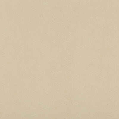 KRAVET DESIGN VINYL/FAUX LEATHER TEXTURE BEIGE,BEIGE,   - 30787.1616.0