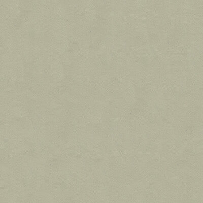 KRAVET DESIGN VINYL/FAUX LEATHER TEXTURE LIGHT GREY,LIGHT GREY,   - 30787.2101.0