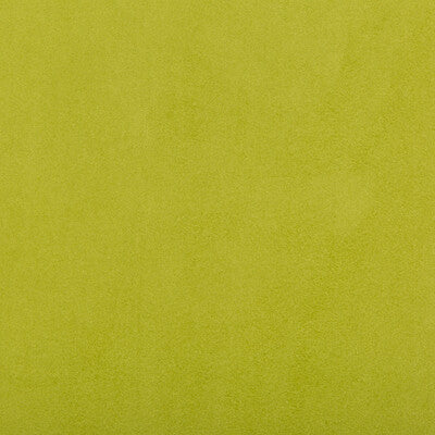 KRAVET DESIGN VINYL/FAUX LEATHER TEXTURE GREEN,GREEN,   - 30787.333.0