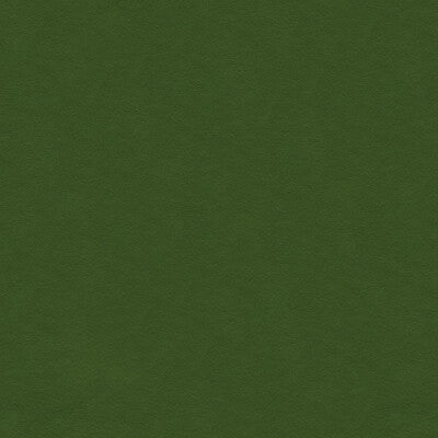 KRAVET DESIGN VINYL/FAUX LEATHER TEXTURE GREEN,GREEN,   - 30787.3.0