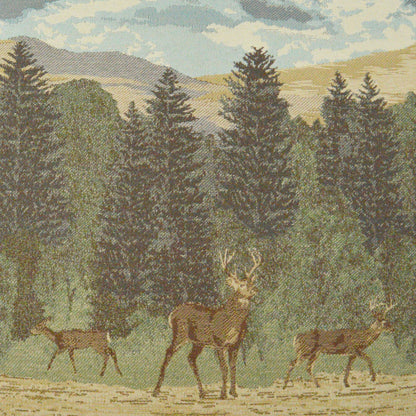 D.V. KAP HOME   24" x 24" Windham Pillow Western Chic, Novelty    - 3110-2424