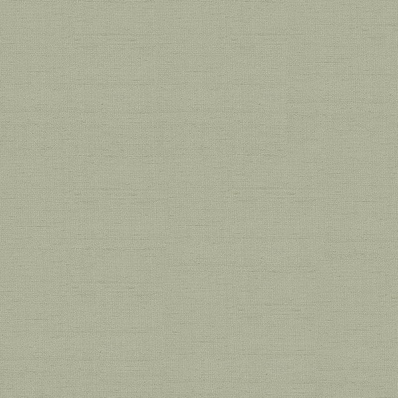 SCHUMACHER  PERFECT BASICS: SILK & TAFFETA INDOCHINE PLAINS PLAINS STONE   - 3123011