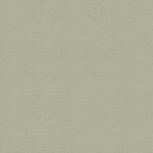 SCHUMACHER  PERFECT BASICS: SILK & TAFFETA INDOCHINE PLAINS PLAINS STONE   - 3123011