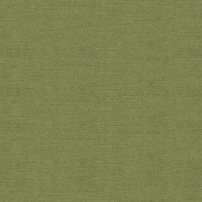 KRAVET DESIGN VELVET TEXTURE GREEN,GREEN,   - 31326.3333.0