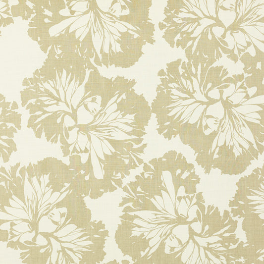 SCHUMACHER  RAOUL TEXTILES SEA LEAF PRINTS PRINTS FOG   - 315V02