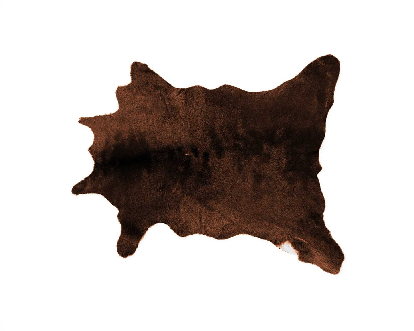 2' X 3' Brown and White Cowhide Hand Woven Area Rug