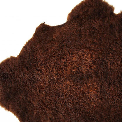 2' X 3' Chocolate Cowhide Hand Woven Area Rug