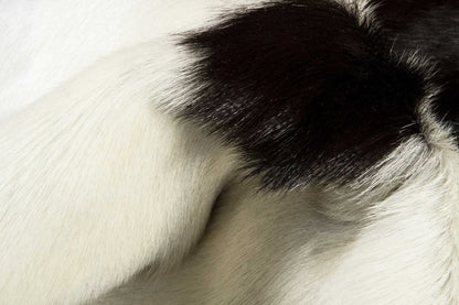 2' X 3' Black And White Cowhide Cowhide Print Hand Woven Area Rug