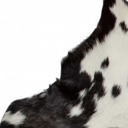 2' X 3' Black And White Cowhide Cowhide Print Hand Woven Area Rug