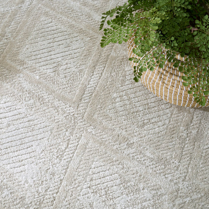 Beige textured rug with geometric pattern, beside a woven wicker plant basket holding a green fern.