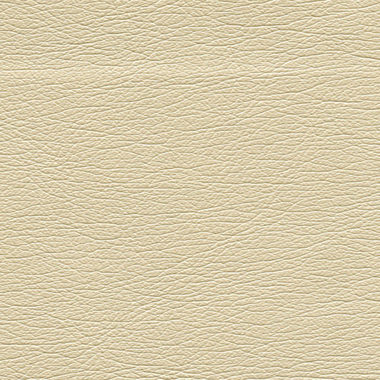 SCHUMACHER  ULTRALEATHER ULTRALEATHER PEARLIZED WOVEN WOVEN ABALONE   - 322-3173