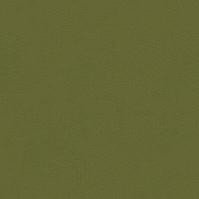 KRAVET BASICS VELVET TEXTURE GREEN,GREEN,   - 32642.303.0