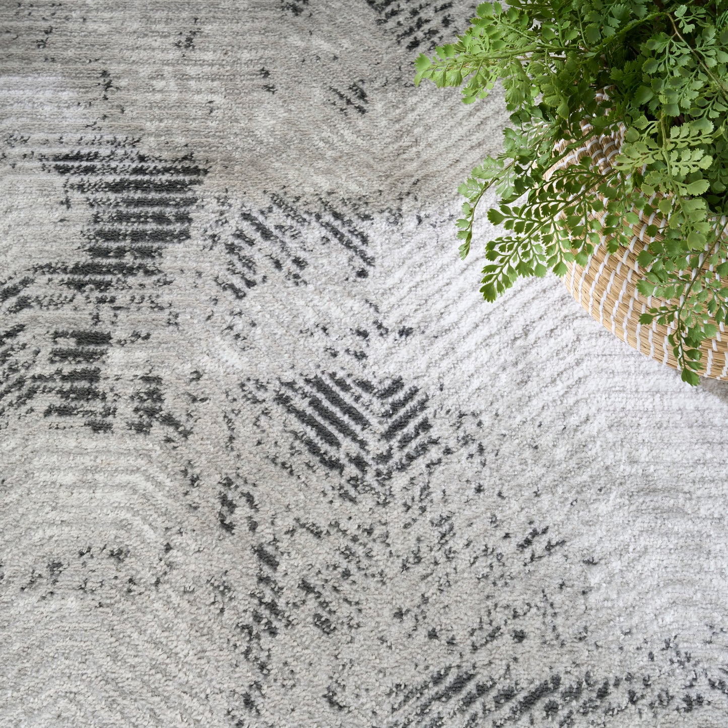 Grey and white abstract patterned rug with dark gray accents, beside a wicker basket holding a green fern.