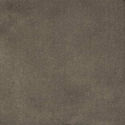 KRAVET COUTURE VELVET TEXTURE GREY,GREY,   - 33062.11.0