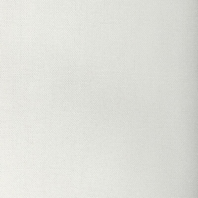 KRAVET BASICS  TEXTURE WHITE,WHITE,   - 33120.111.0