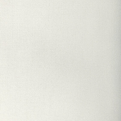 KRAVET BASICS  TEXTURE WHITE,WHITE,   - 33120.1.0