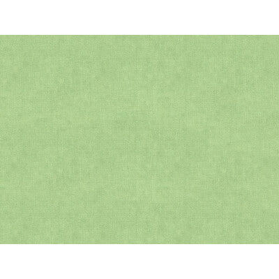 KRAVET DESIGN VELVET TEXTURE GREEN,GREEN,   - 33125.23.0