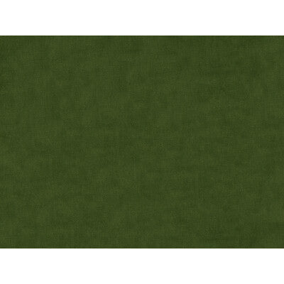 KRAVET DESIGN VELVET TEXTURE GREEN,GREEN,   - 33125.3030.0