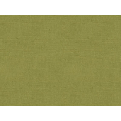 KRAVET DESIGN VELVET TEXTURE GREEN,GREEN,   - 33125.303.0