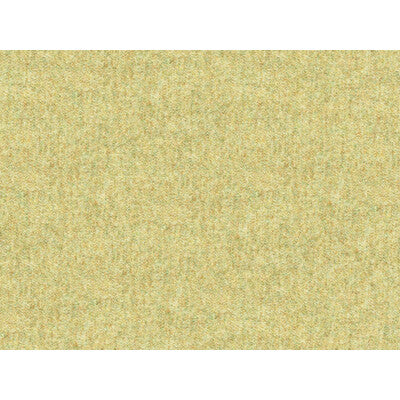 KRAVET COUTURE WOOL TEXTURE GREEN,GREEN,   - 33127.123.0