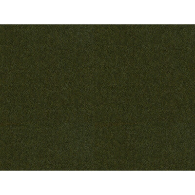 KRAVET COUTURE WOOL TEXTURE GREEN,GREEN,   - 33127.3030.0