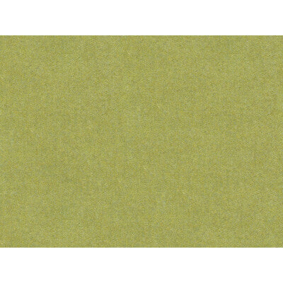 KRAVET COUTURE WOOL TEXTURE GREEN,GREEN,   - 33127.323.0