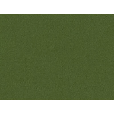 KRAVET COUTURE WOOL TEXTURE GREEN,GREEN,   - 33127.53.0