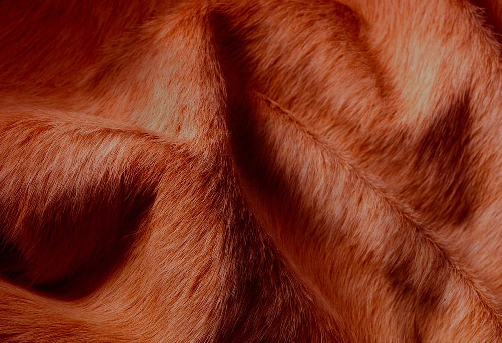 6' X 7' Gold Cowhide Cowhide Print Area Rug