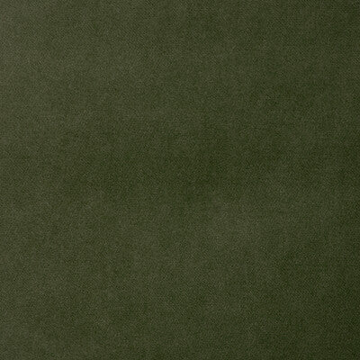 KRAVET BASICS VELVET TEXTURE CELERY,CELERY,GREEN   - 33299.2323.0