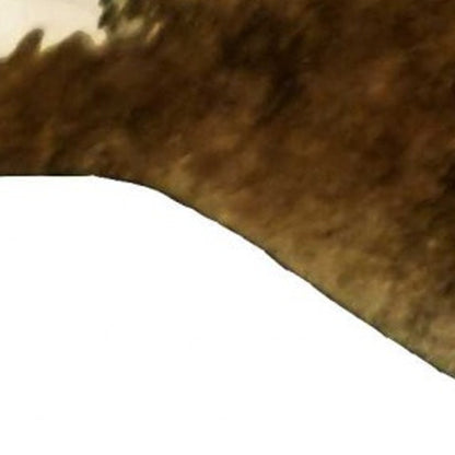 6' X 7' Natural Cowhide Handmade Area Rug