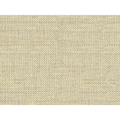 KRAVET COUTURE  SOLID SILVER,GREY,METALLIC   - 33443.11.0