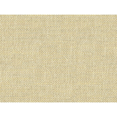 KRAVET COUTURE  SOLID SILVER,GOLD,GREY   - 33443.411.0