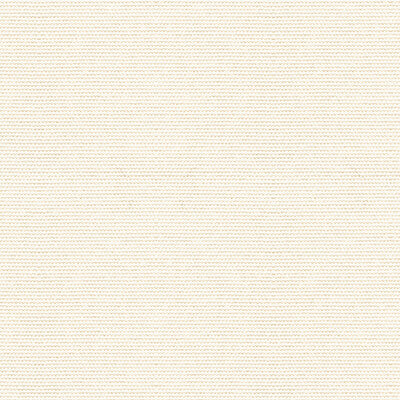 KRAVET DESIGN INDOOR / OUTDOOR TEXTURE WHITE,WHITE,   - 33496.101.0