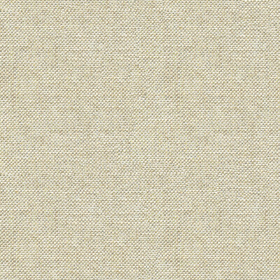 KRAVET COUTURE  METALLIC SILVER,WHITE,METALLIC   - 33555.11.0