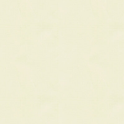 KRAVET COUTURE SILK TEXTURE WHITE,WHITE,   - 33886.1.0