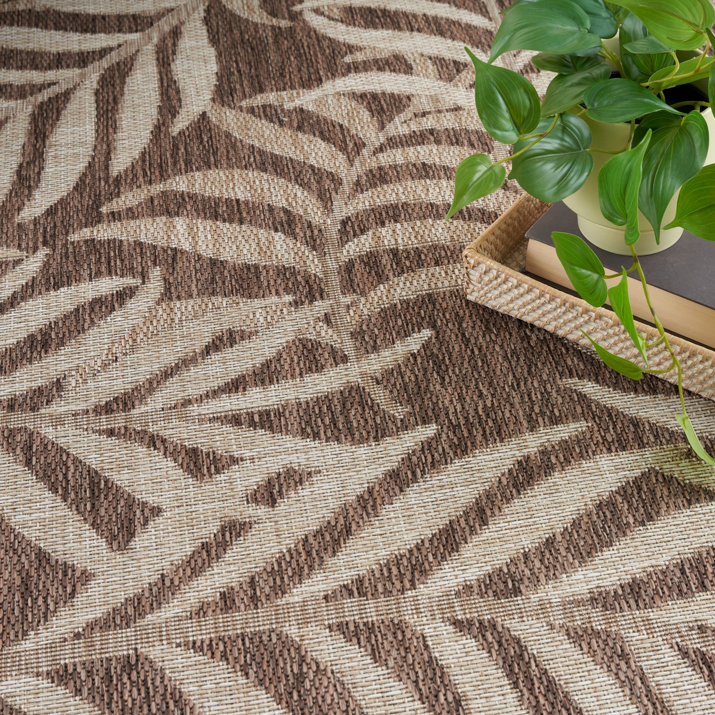 Brown and beige zebra-pattern woven rug with a green potted plant on a wicker tray with books.