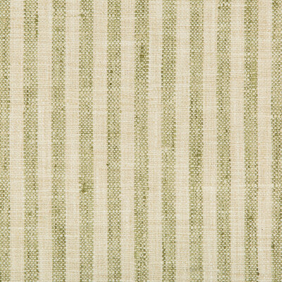 KRAVET BASICS   IVORY,CELERY,   - 34080.13.0